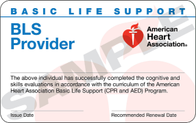 CPR Florida